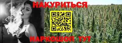шишки Жуковский
