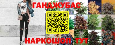 шишки Жуковский