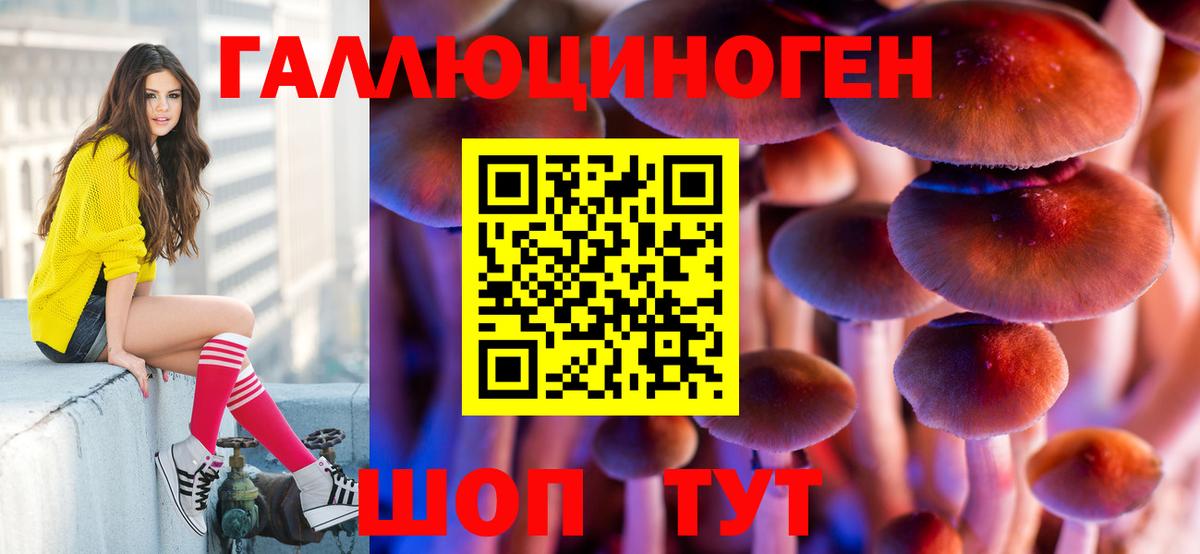 Коркино  Псилоцибиновые грибы ЛСД  где продают   Вход с VPN 
