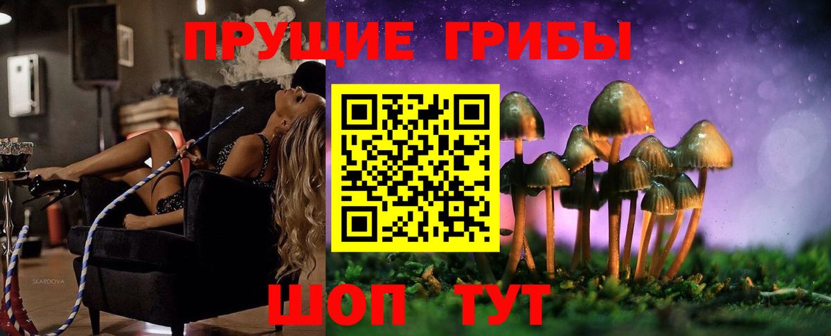 Галлюциногенные грибы Psilocybe Коркино