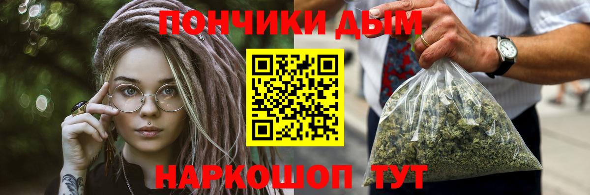 Каннабис сатива Коркино